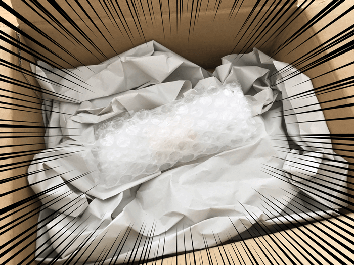 段ボールで到着