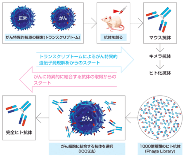 治療用医薬品の研究開発