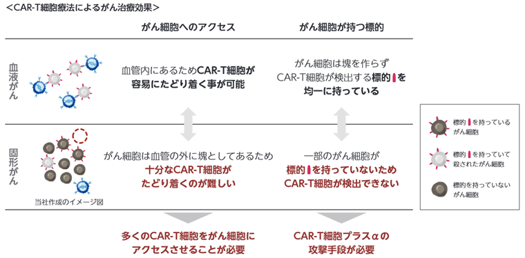 CAR-T細胞療法によるがん治療効果