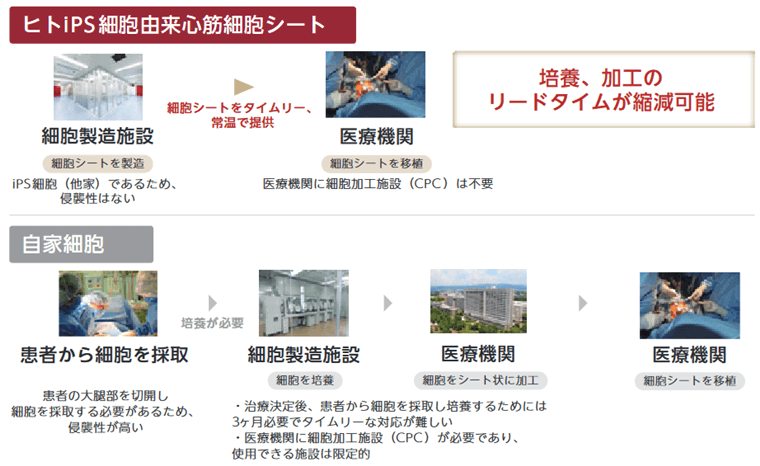 ヒトiPS細胞由来心筋細胞シート