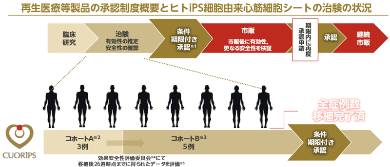 再生医療等製品の承認制度概要とヒトiPS細胞由来心筋細胞シートの治験の状況